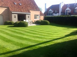 Project BP Tuinservice 15