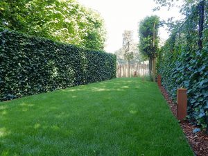 Project BP Tuinservice 2