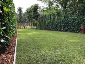 Project BP Tuinservice 3