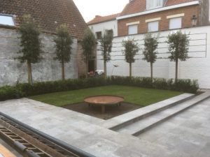 Project BP Tuinservice 8