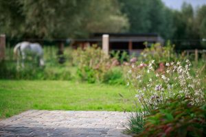 BP Tuinservice tuin aanleg 2
